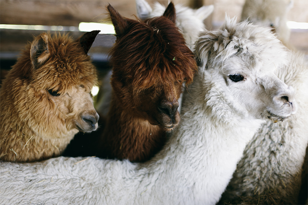 homepage_workshop_gallery_1